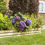 Ledbury Border Edging